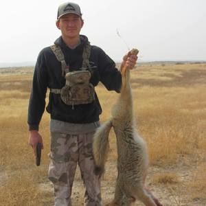 Meet your Posher, Riley